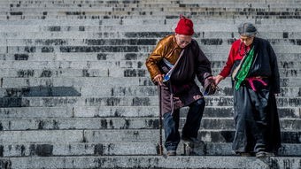(扶摇的真真在院子里在线观看)扶摇真真的庭院生活，自然与文化的交融