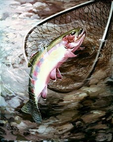 (锦鱼是什么鱼类图片)锦鲤，学名Cyprinus carpio，是一种常见的观赏鱼类，原产于亚洲东部。在我国，锦鲤文化源远流长，被视为吉祥、幸福的象征。本文将从锦鲤的生物学特征、养殖技术、文化内涵等方面进行详细介绍，并提出一些相关问题，以供读者参考。