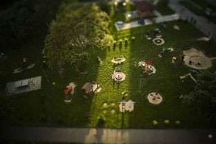 (芒果小镇app)芒果小镇游戏攻略详解，探索与发现的乐趣