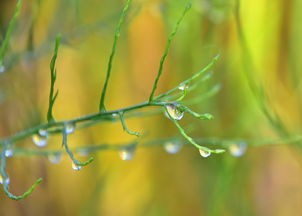 (节气之子是什么意思啊)节气之子，探索传统节气与现代生活的融合