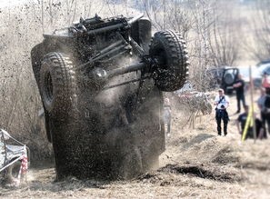 (模拟猎豹游戏鸡)模拟猎豹游戏，探索速度与激情的虚拟世界