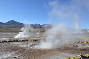 (冬蜃楼怎么过)深入解析冬蜃楼游戏攻略，全方位解读与常见问题解答