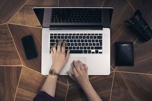 (看门狗手机版免费下载)看门狗手机版免费补充内容解析，功能、优势与常见问题解答
