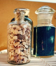 (花和香水)花与香水与猫，六神四色调制的艺术与科学