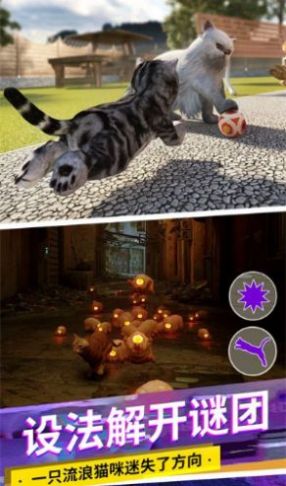 猫咪打工模拟器最新版-猫咪打工模拟器下载手机版2024正版更新版v.9.36