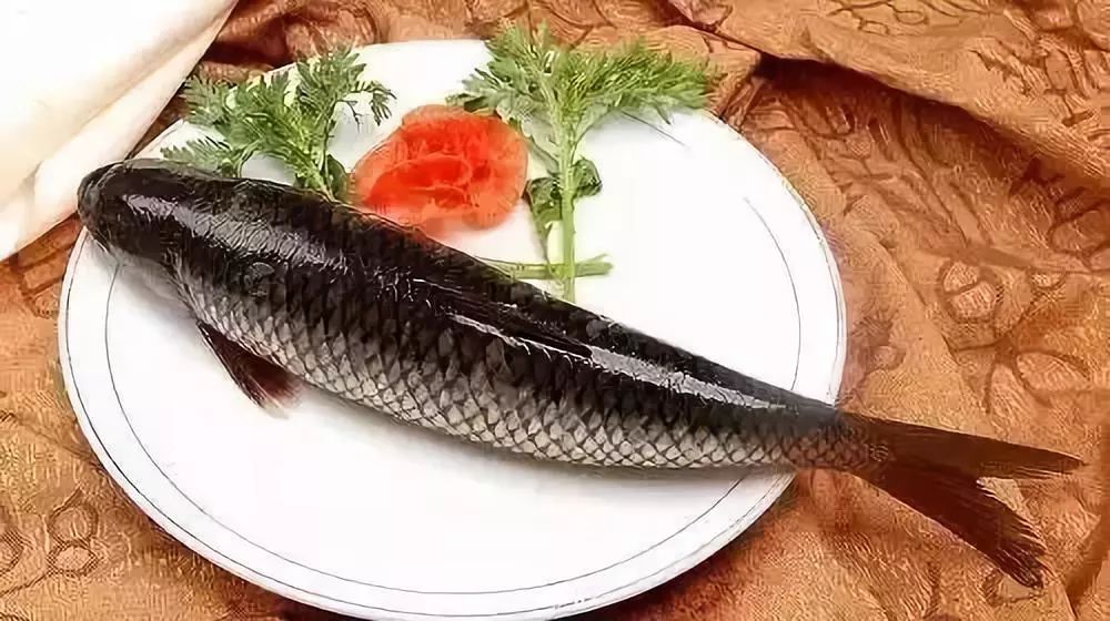 肉鸽鱼吃鱼中文版无广告下载-肉鸽鱼吃鱼内置功能菜单下载v.9.68